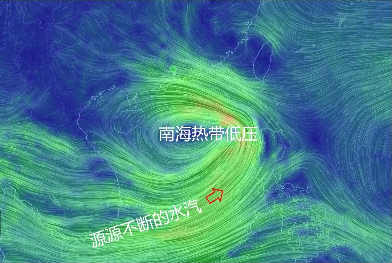 图集丨中山台风黄色预警生效，市民在风雨中出行_房产资讯_房天下